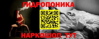 молекула духа Пенза