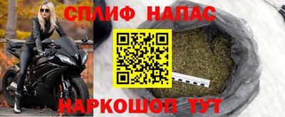 молекула духа Пенза