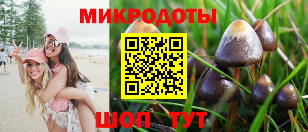 Псилоцибиновые грибы GOLDEN TEACHER  Вход с VPN  Галлюциногенные грибы мухоморы  Сланцы 