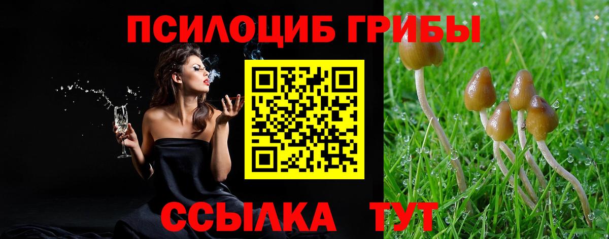 Псилоцибиновые грибы GOLDEN TEACHER Сланцы